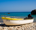 Shingle Beaches